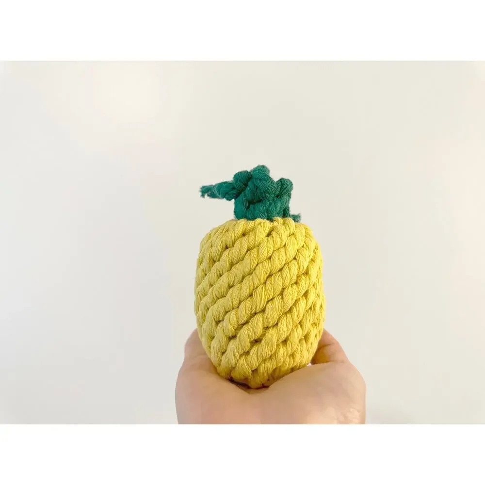 Monli Handcrafted Handmade Sustainable Pineapple Rope Toy